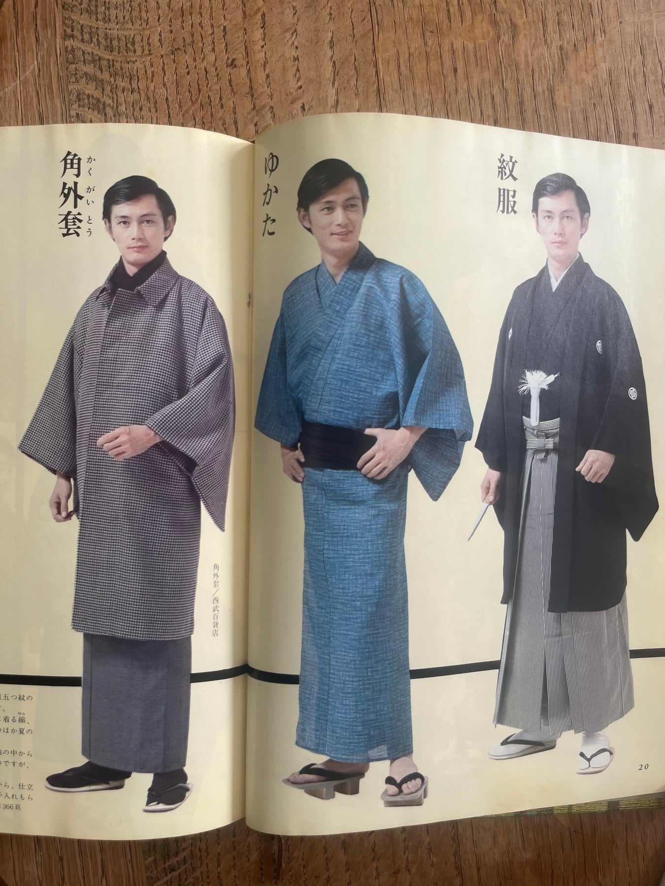 Black Plum Blossoms & Twigs Haori